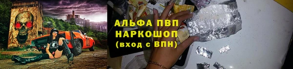прущие грибы Покачи
