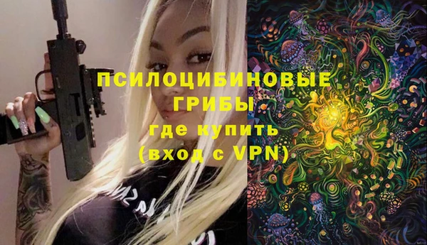 прущие грибы Покачи